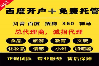 竞价广告的创意与执行：某快消品的营销突破